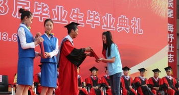 从舞台到庆典 活动策划的多元场景与实践